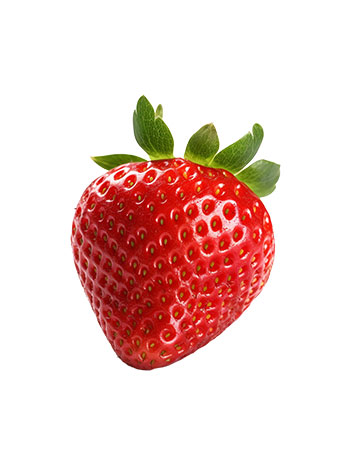 fresas
